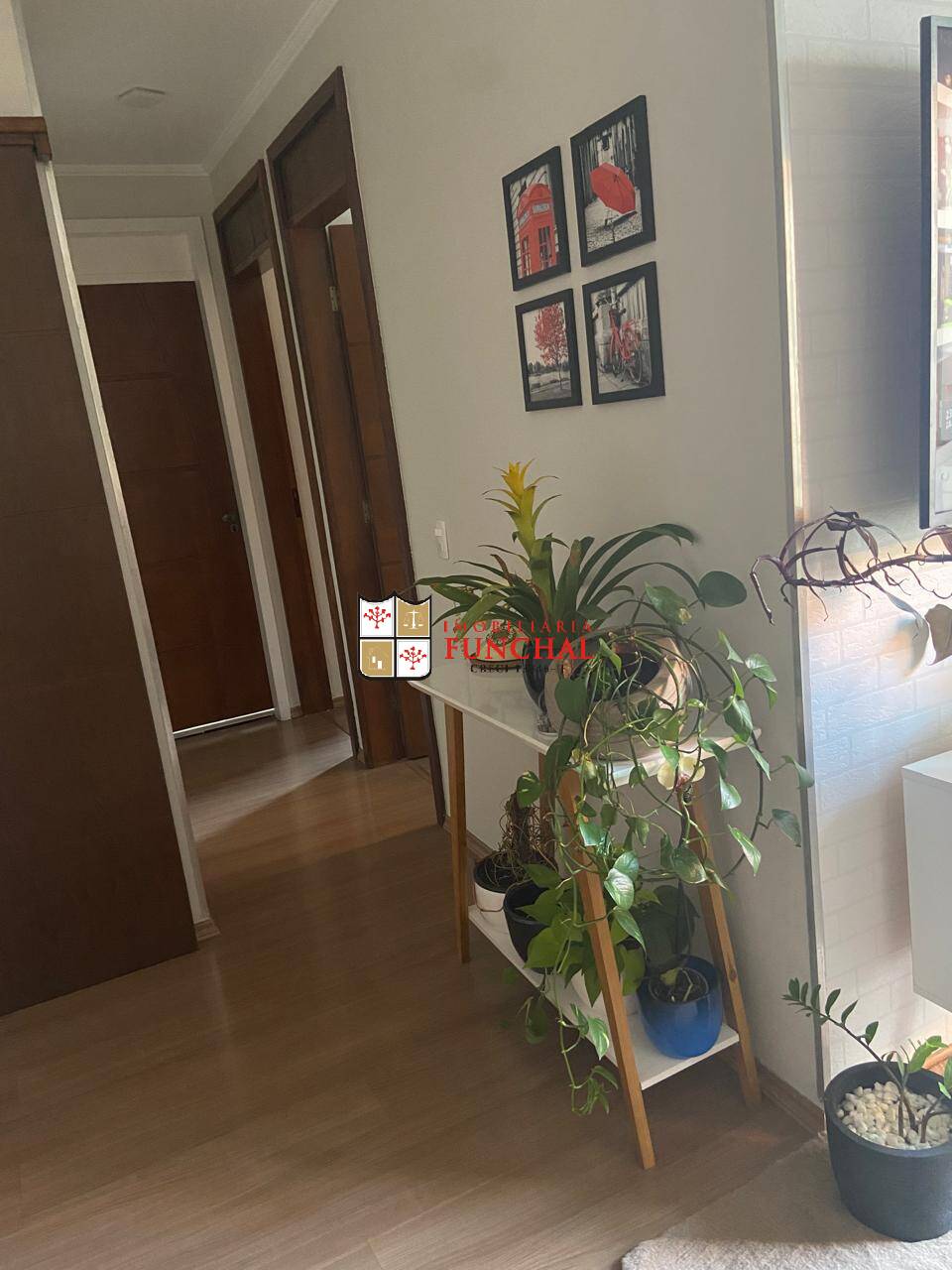 Apartamento à venda com 2 quartos, 48m² - Foto 5